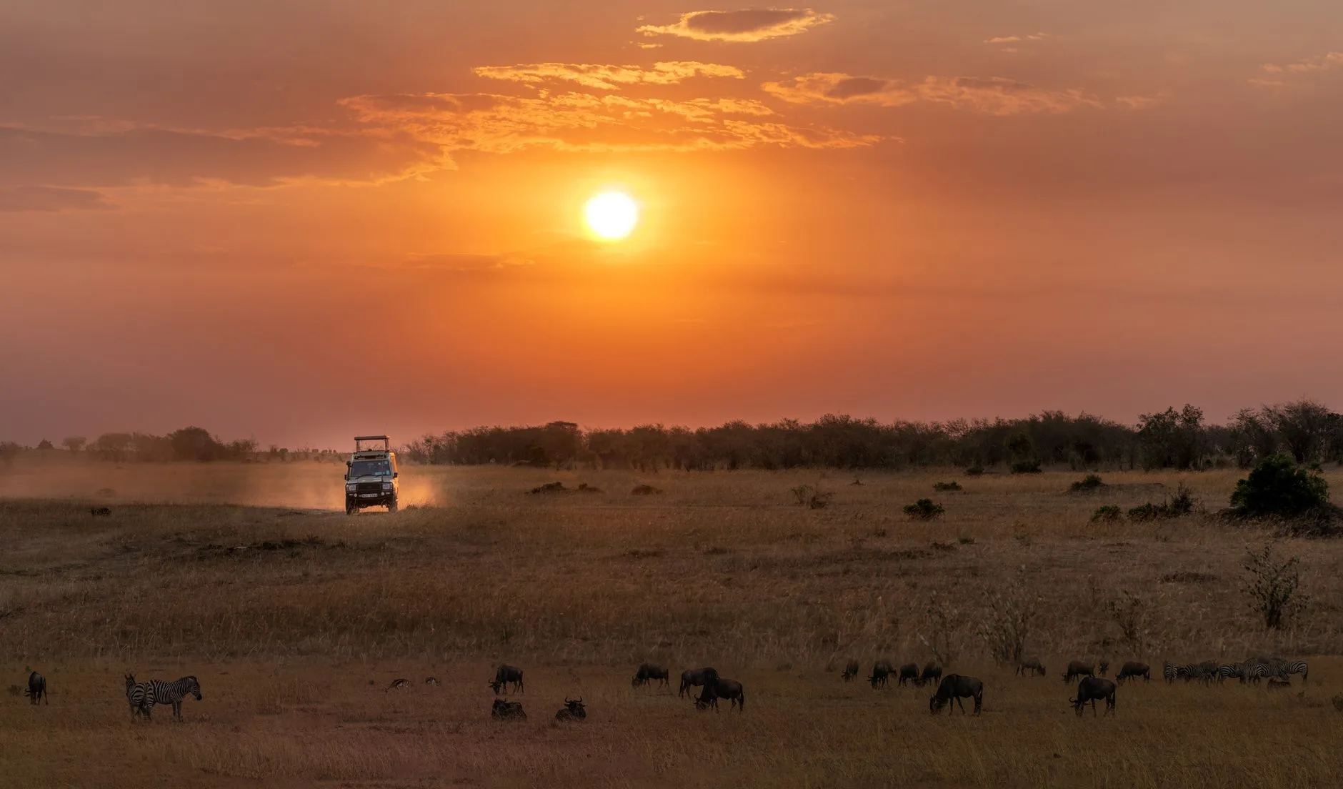 Véhicule de safari sur une piste de la savane en Tanzanie