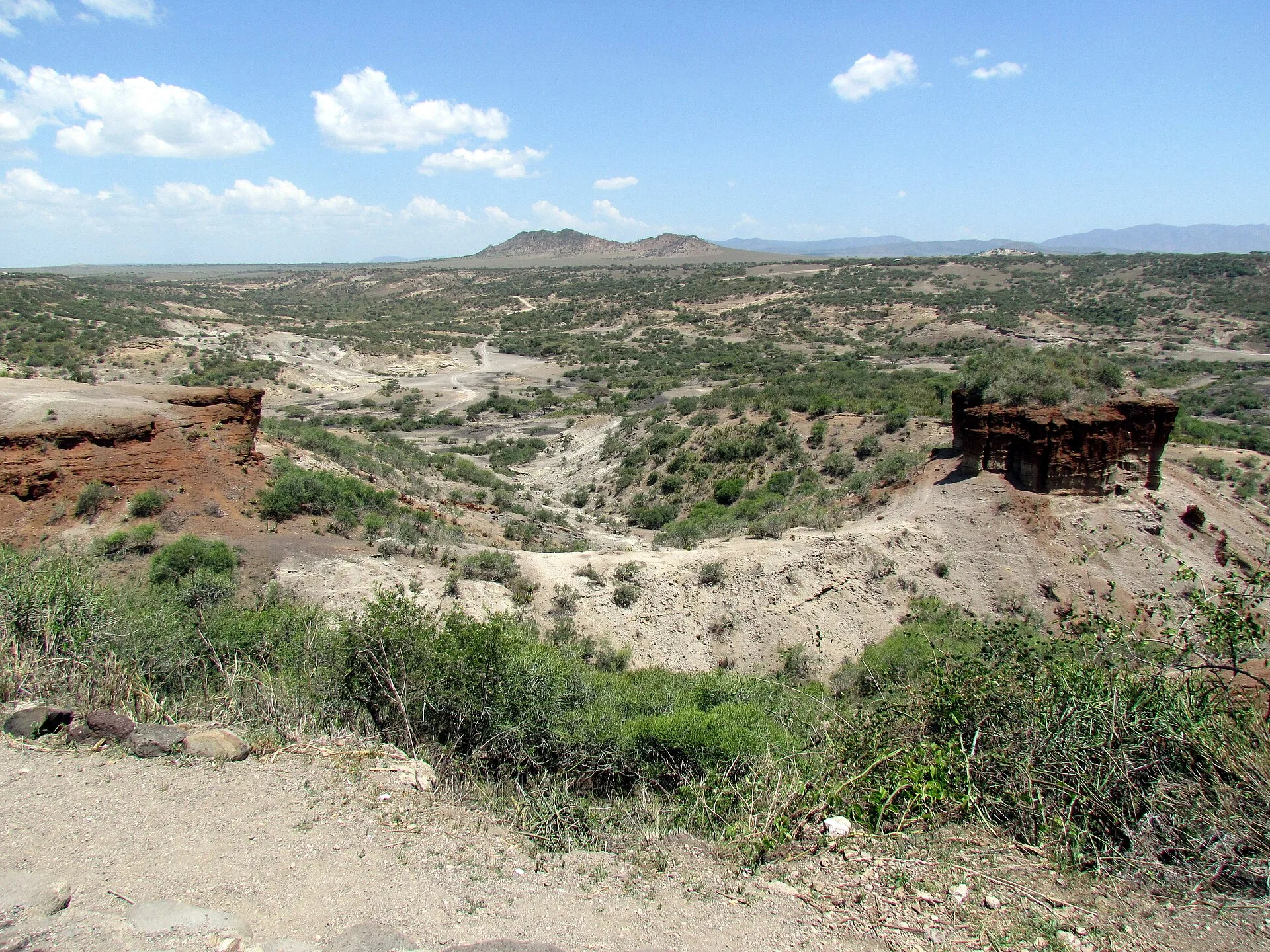 Les gorges d'Olduvai