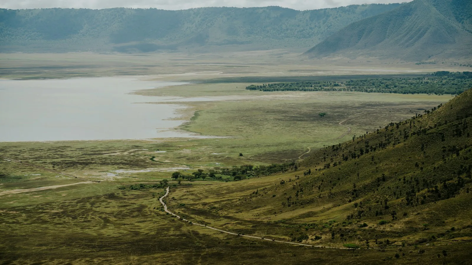Jour 3 : le cratère du Ngorongoro