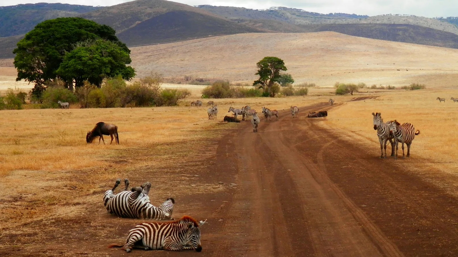 Passeport et carnet de vaccination préparés pour un voyage en Tanzanie